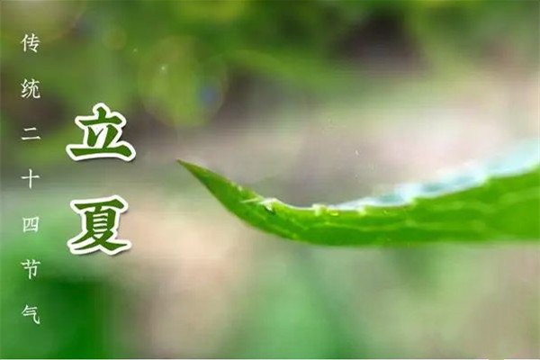 立夏吃蛋的風(fēng)俗由來 立夏吃咸鴨蛋的寓意