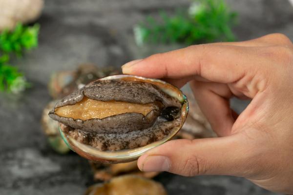 鮑魚屬于甲殼動(dòng)物還是軟體動(dòng)物 鮑魚煮多久才可以吃