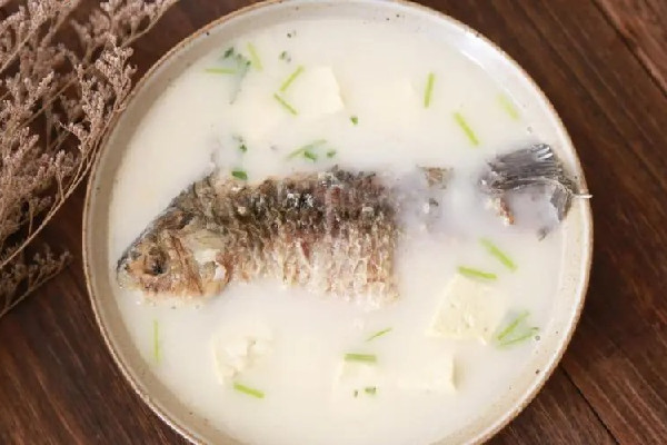 鯽魚湯和黑魚湯哪個更好 鯽魚湯可以天天喝嗎