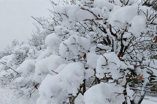 今冬初雪時間表出爐 初雪有什么特別的含義嗎