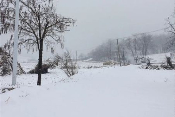 冷空氣發(fā)威上海已見初雪 下雪要注意什么