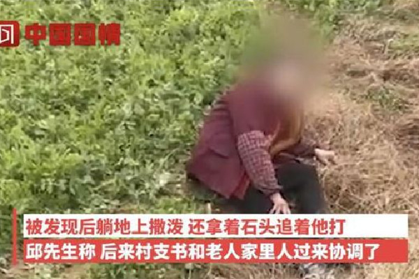 老人多次偷豌豆尖被抓現(xiàn)行躺地撒潑 豌豆尖是什么菜