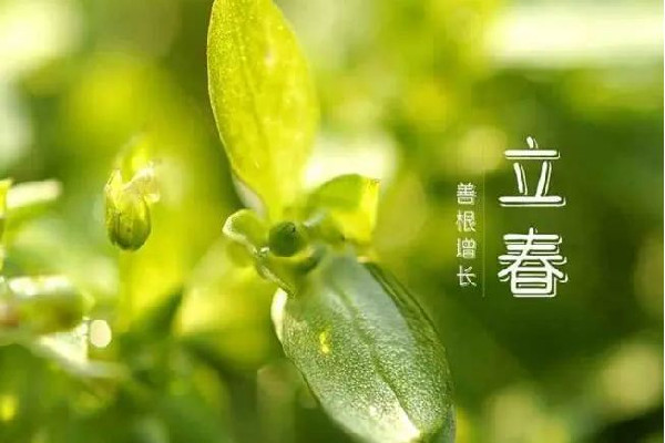 農歷二月生的今年能過3次生日 2023為什么有閏二月