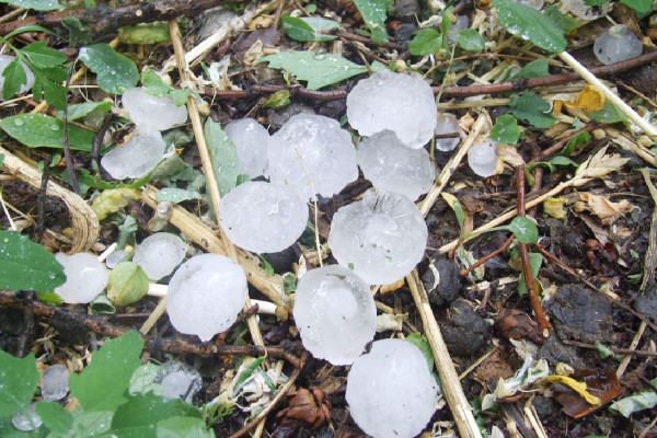 多地將有8-10級雷暴大風(fēng)或冰雹 冰雹會在夏天出現(xiàn)嗎